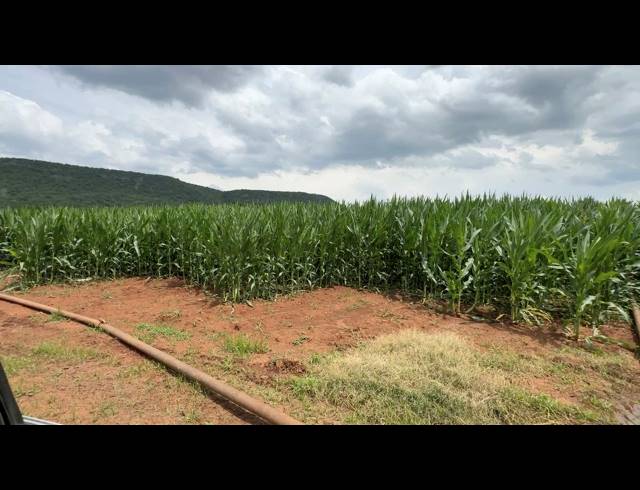 56HA FARM FOR SALE IN WEENEN